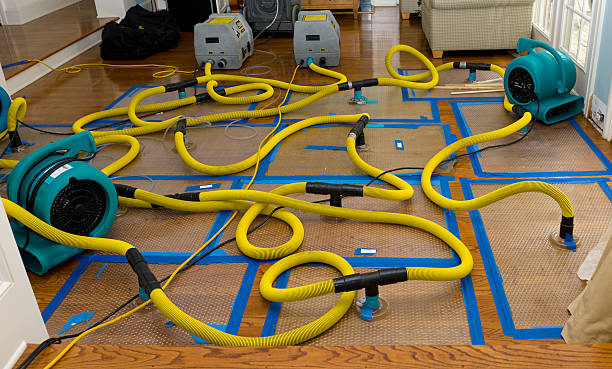 Professional Storm Water Damage Restoration technician working in Leesburg, FL